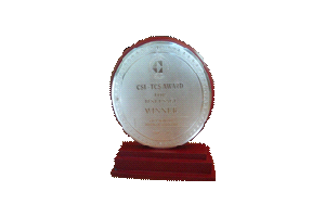 award 28
