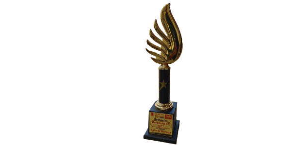 award 31
