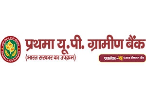 partner 20